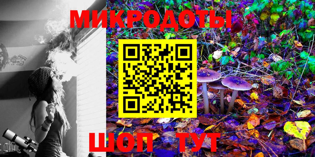 Лсд 25 Карпинск