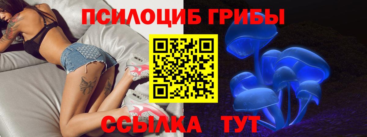 Галлюциногенные грибы GOLDEN TEACHER Карпинск